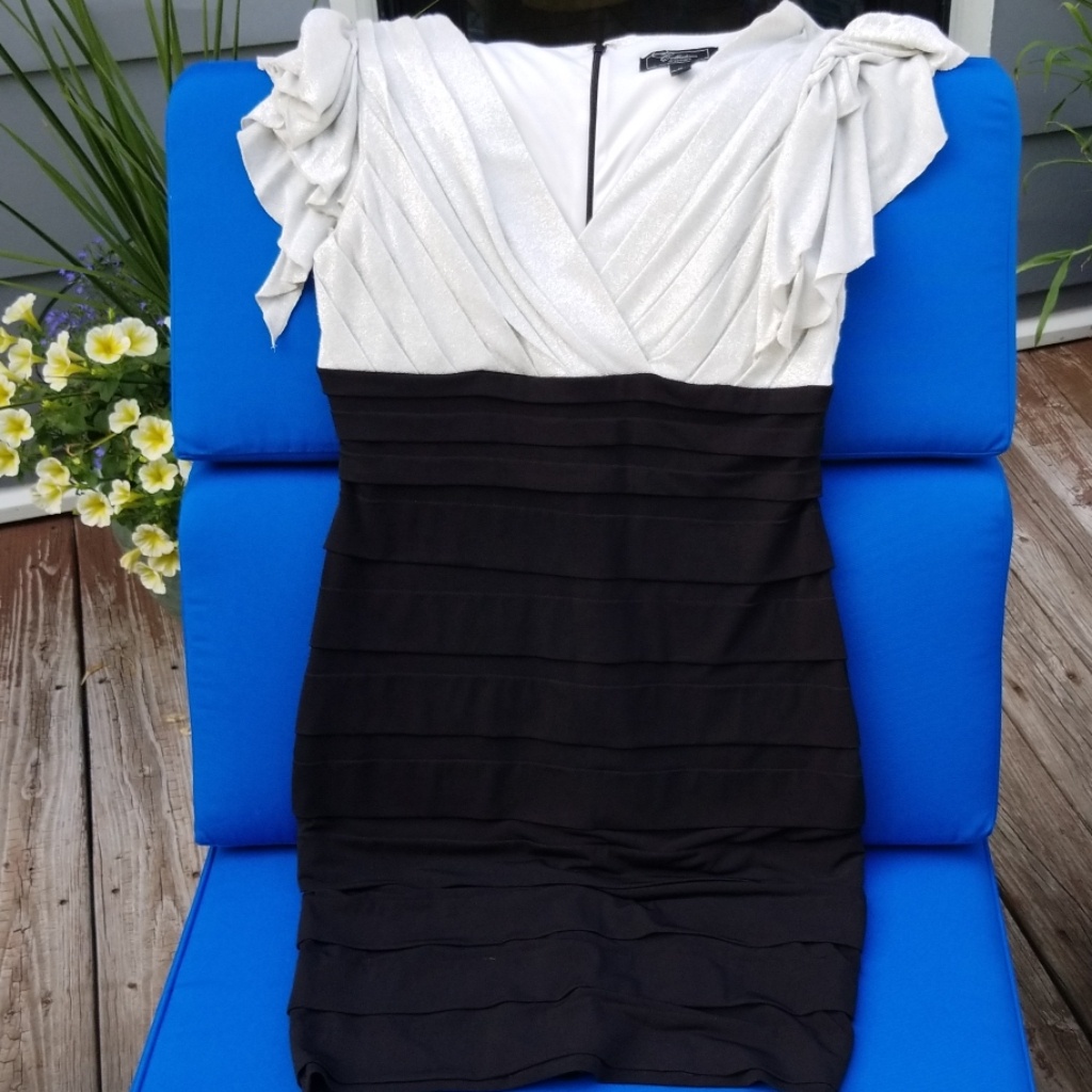 Dress Barn Collection Dress